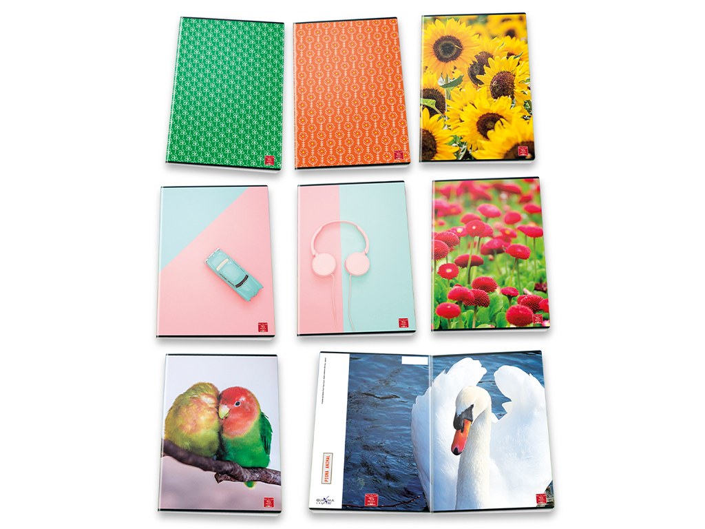 Exercise book Pigna A5 lined 42 sheets Ragazza assorted