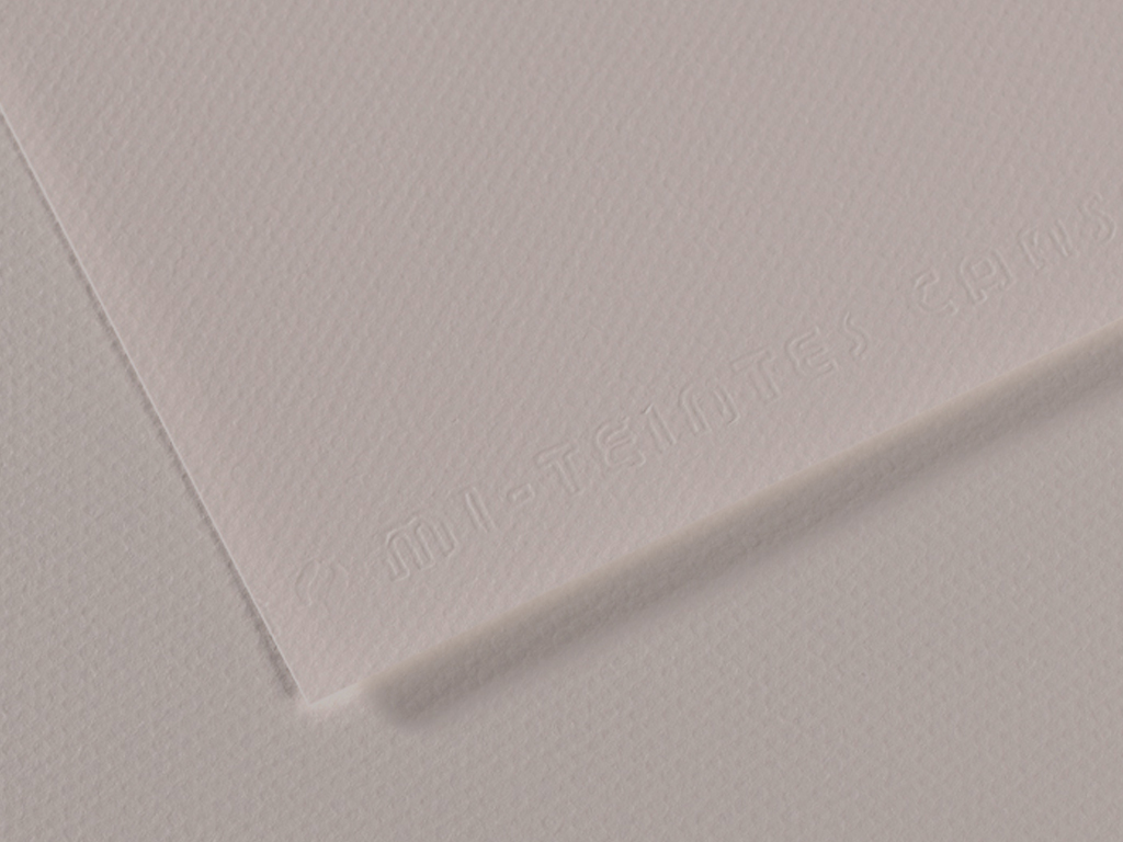 Grainy paper MiTeintes 160g 50x65cm 186 moon grey