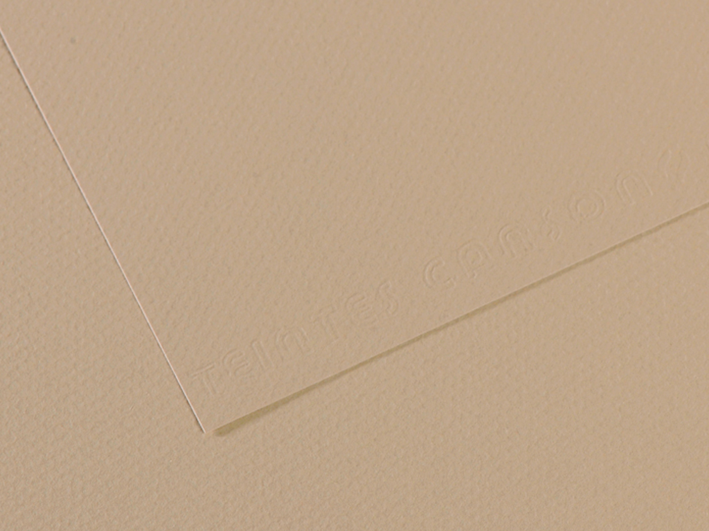 Grainy paper MiTeintes 160g 50x65cm 343 pearl