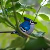 3D puzzle Eugy blue jay - 3/6