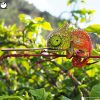 3D puzzle Eugy chameleon - 4/6